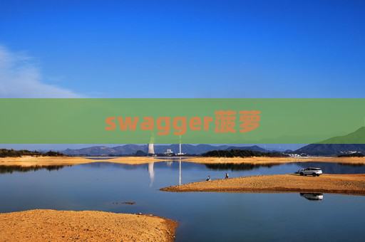 swagger菠萝 swagger菠萝